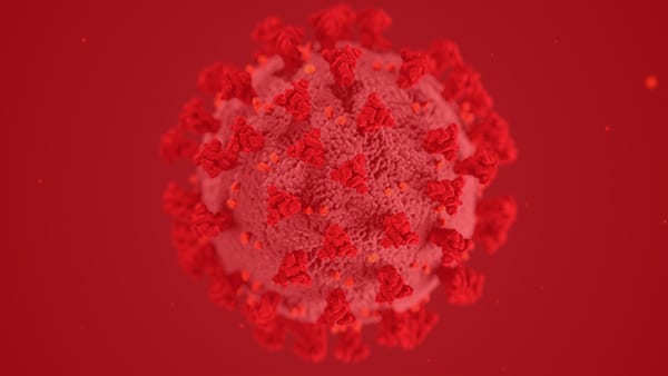 Toimintamme Koronavirusepidemian aikana – Mikä muuttuu?